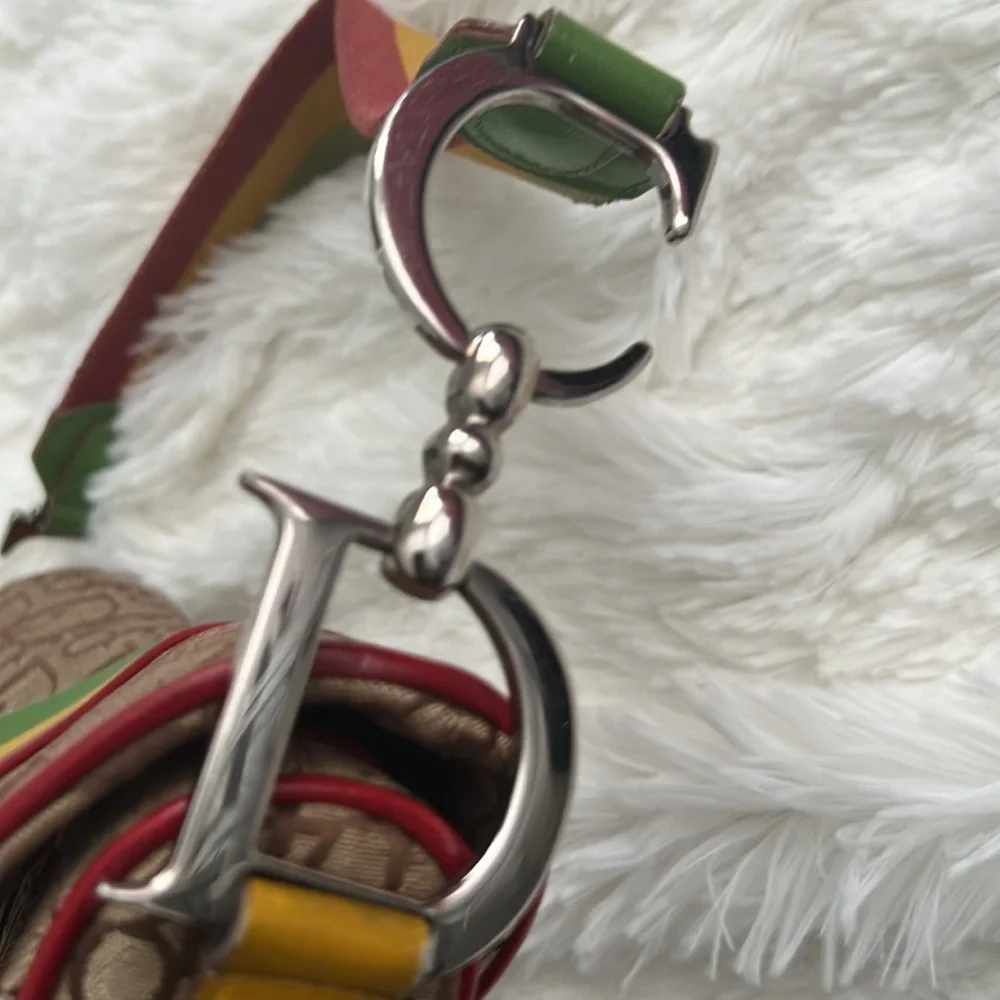 Christian Dior Rasta Trotter Saddle Shoulder Bag Monogram - Picture 9 of 9